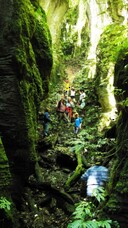 The canyon, an old collapsed cave system