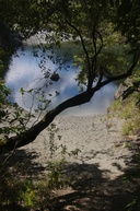 Pelorus River along the Totara Walk