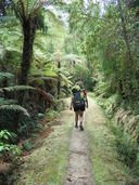 Walking the Heaphy Track