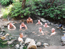 Men in springs.... - Great Barrier Island