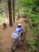 Primo riding in the Redwoods