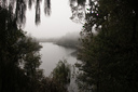 Lake Matheson in the fog....