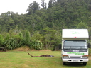 Waiohine campground is surrounded by native bush.