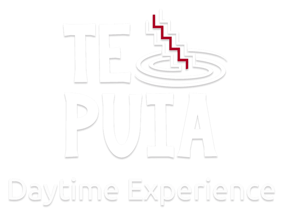 Te Puia Daytime Experience