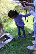 Monitoring of a nesting box