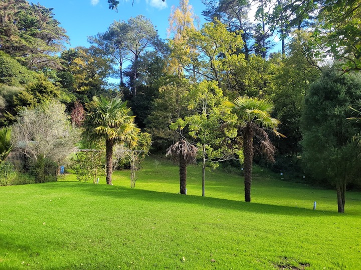 Unpowered tent sites.